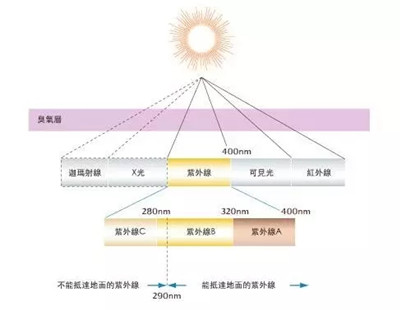 防晒听多了，看看皮肤科医生怎么说(图1)